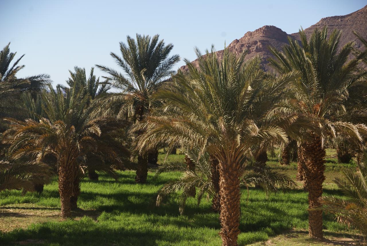 Riad Les Jardins De Tafraoute Hotel Foum Mharech Exterior photo